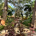 Pousada Bosque Dos Papagaios