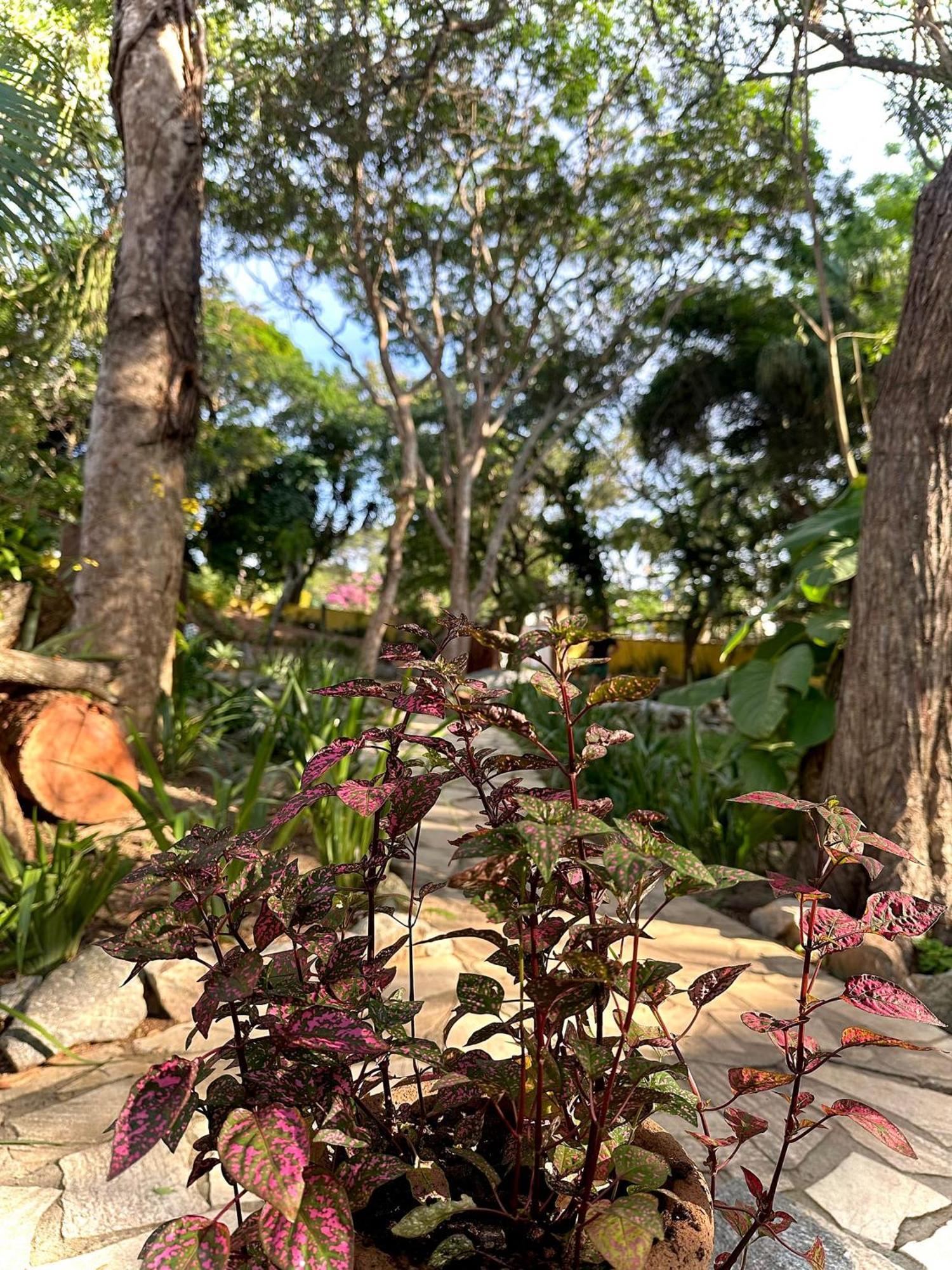 Bosque Dos Papagaios Búzios